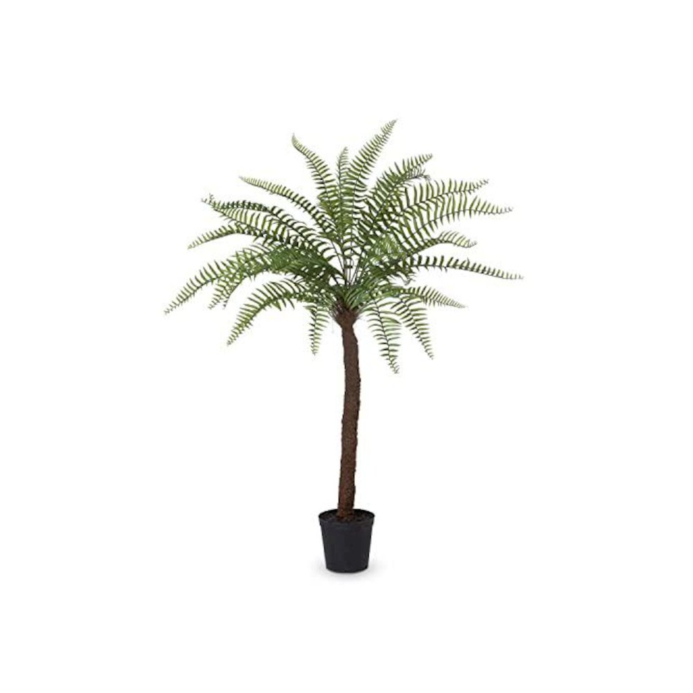 Giant Tree Fern in Growers Pot, 83 in.