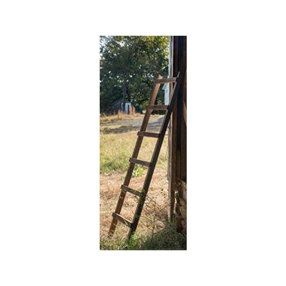 Wooden Loft Display Ladder