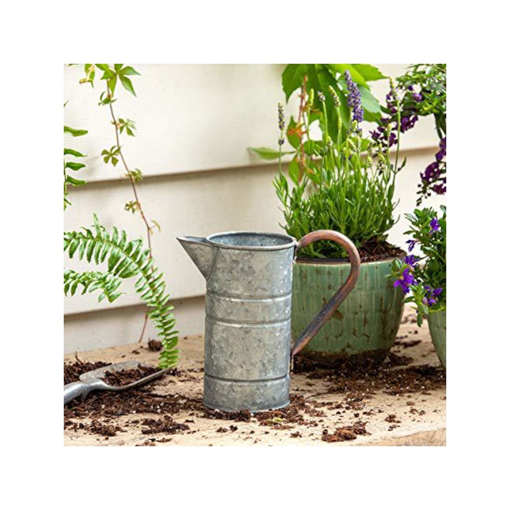 Small Tin Watering Can