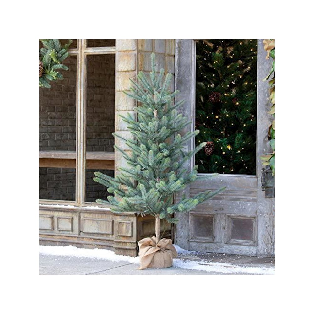 Burlap Wrapped Blue Spruce Seedling with LED Batt. Lights Lg