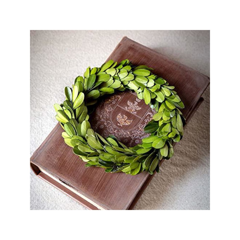 Mini Preserved Boxwood Wreaths
