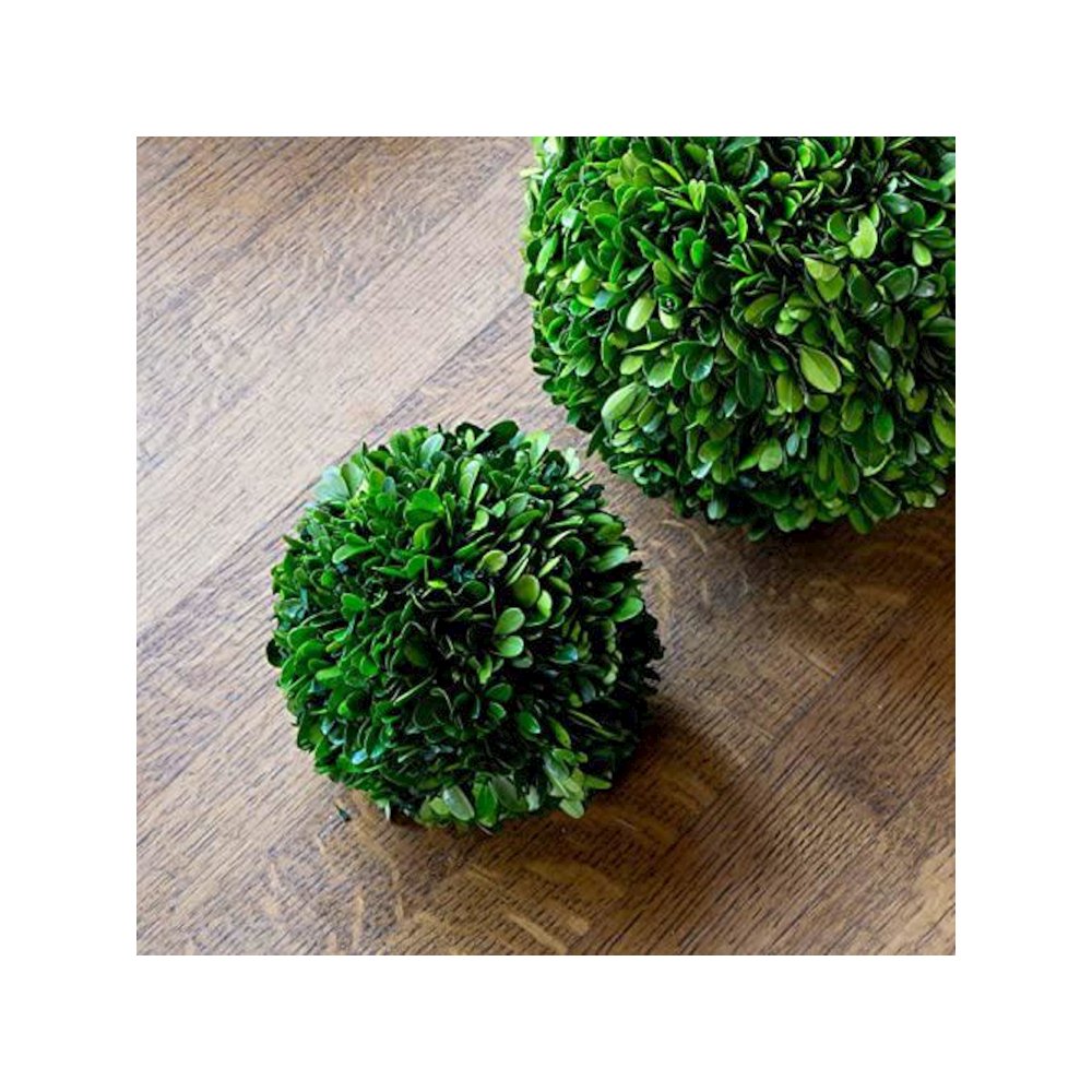 Preserved Boxwood Ball 6"