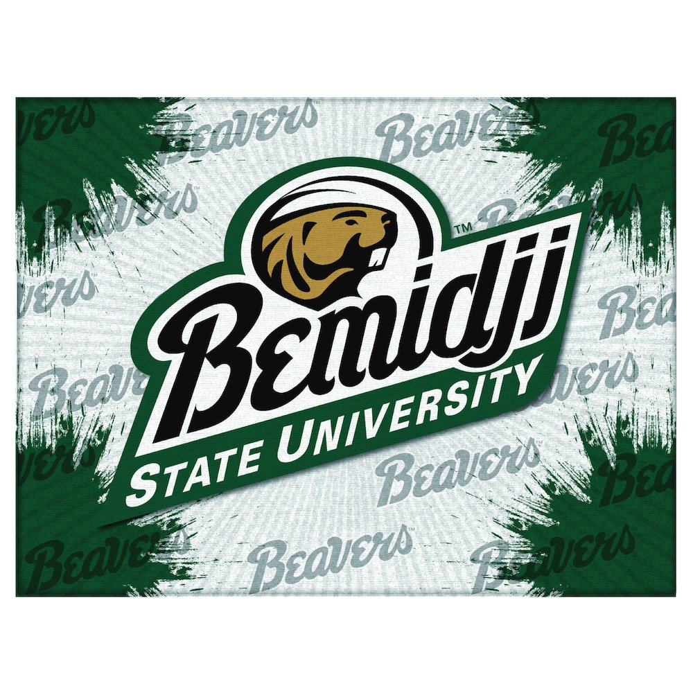 Bmidji State 24" x 32" Officially Licensed Logo Canvas