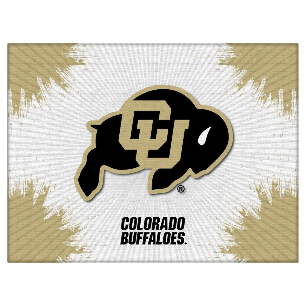 Colorado 24" x 32" Officially Licensed Logo Canvas