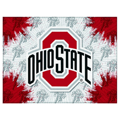 Ohio State 24" x 32" Officially Licensed Logo Canvas