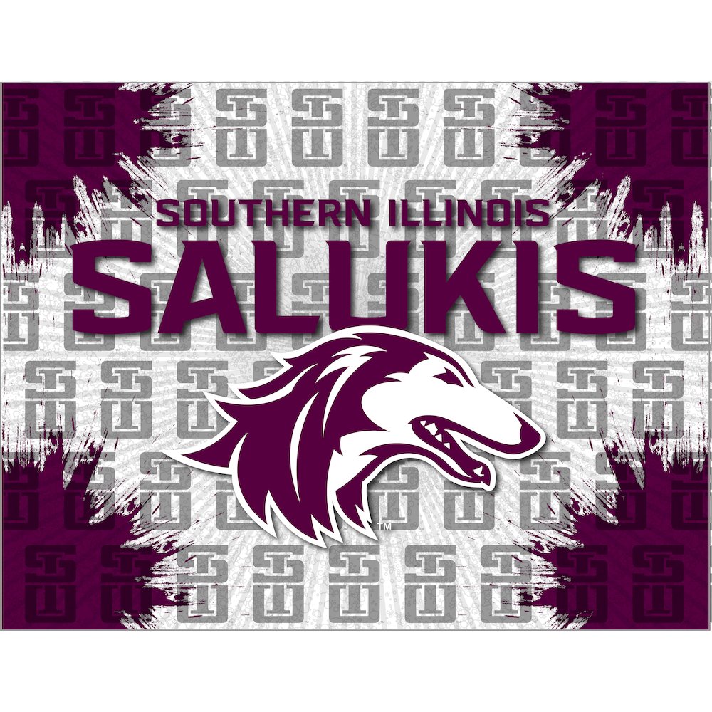 Southern Illinois 24" x 32" Officially Licensed Logo Canvas