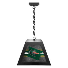 University of Alabama at Birmingham Pendant Box Light