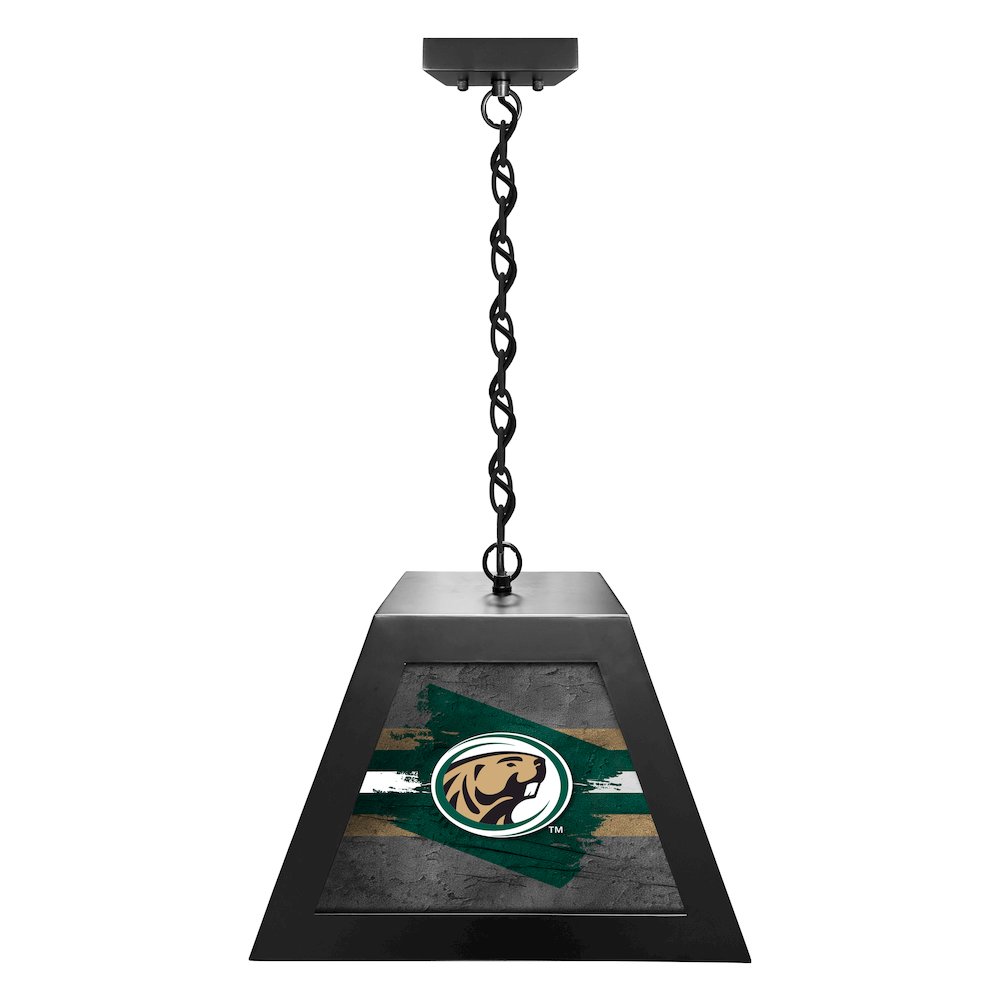 Bemidji State University Pendant Box Light