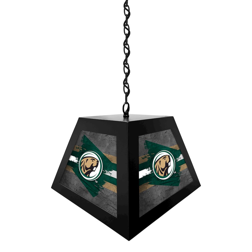 Bemidji State University Pendant Box Light
