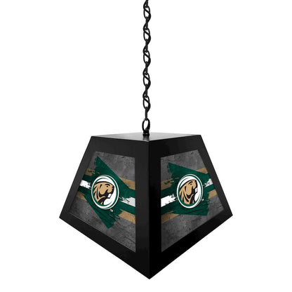 Bemidji State University Pendant Box Light