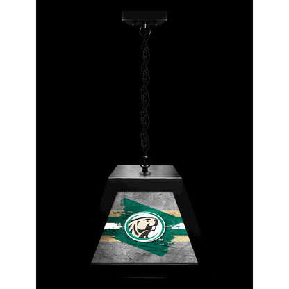 Bemidji State University Pendant Box Light