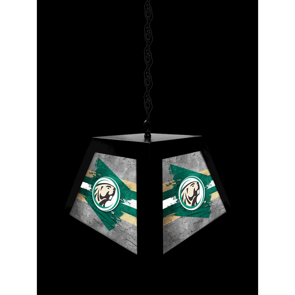Bemidji State University Pendant Box Light