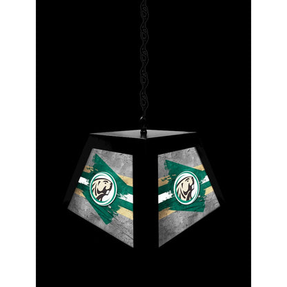 Bemidji State University Pendant Box Light
