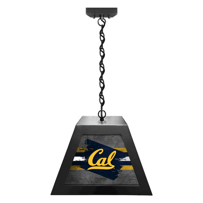 University of California Pendant Box Light
