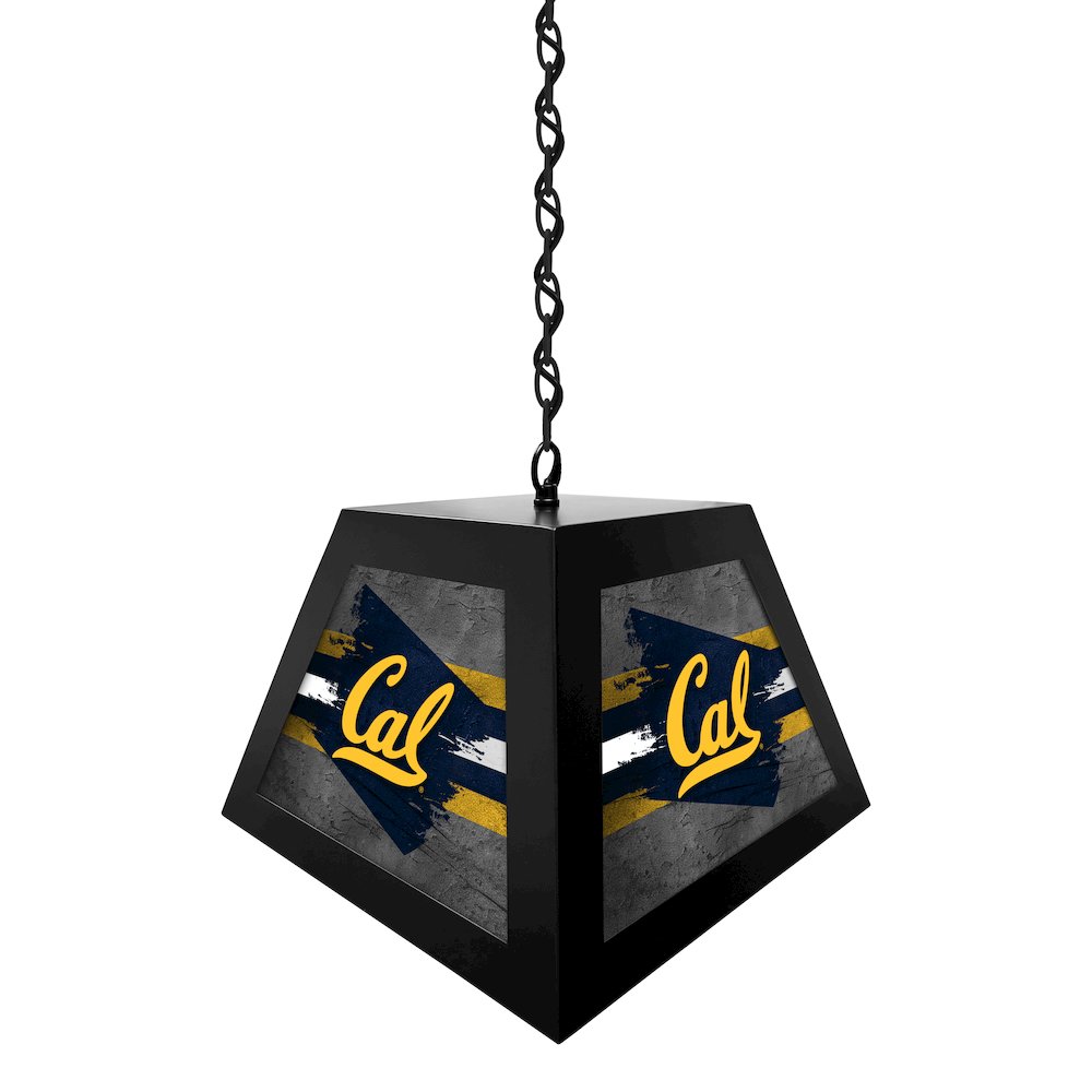 University of California Pendant Box Light