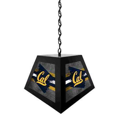 University of California Pendant Box Light