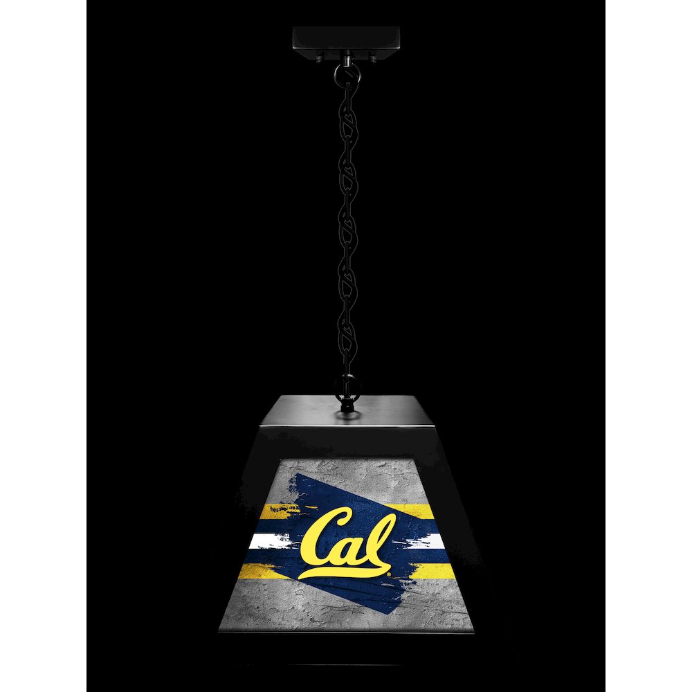 University of California Pendant Box Light