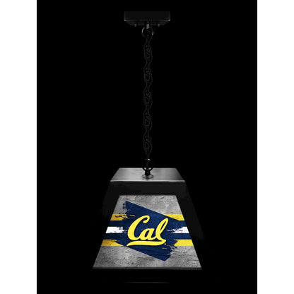 University of California Pendant Box Light