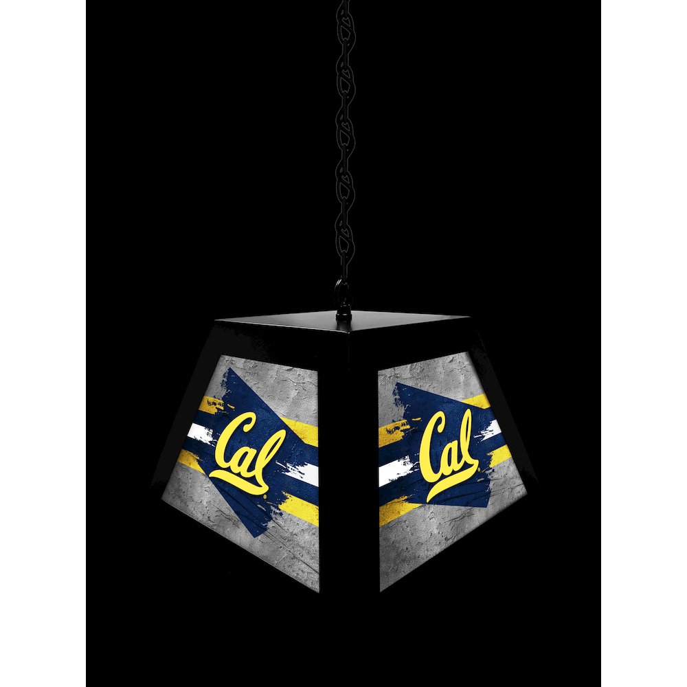 University of California Pendant Box Light