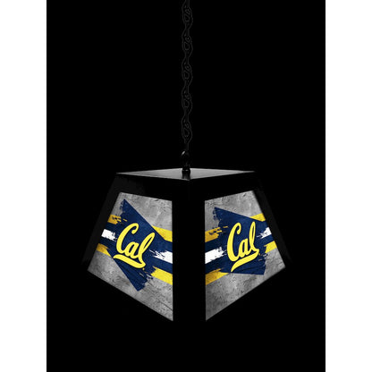 University of California Pendant Box Light