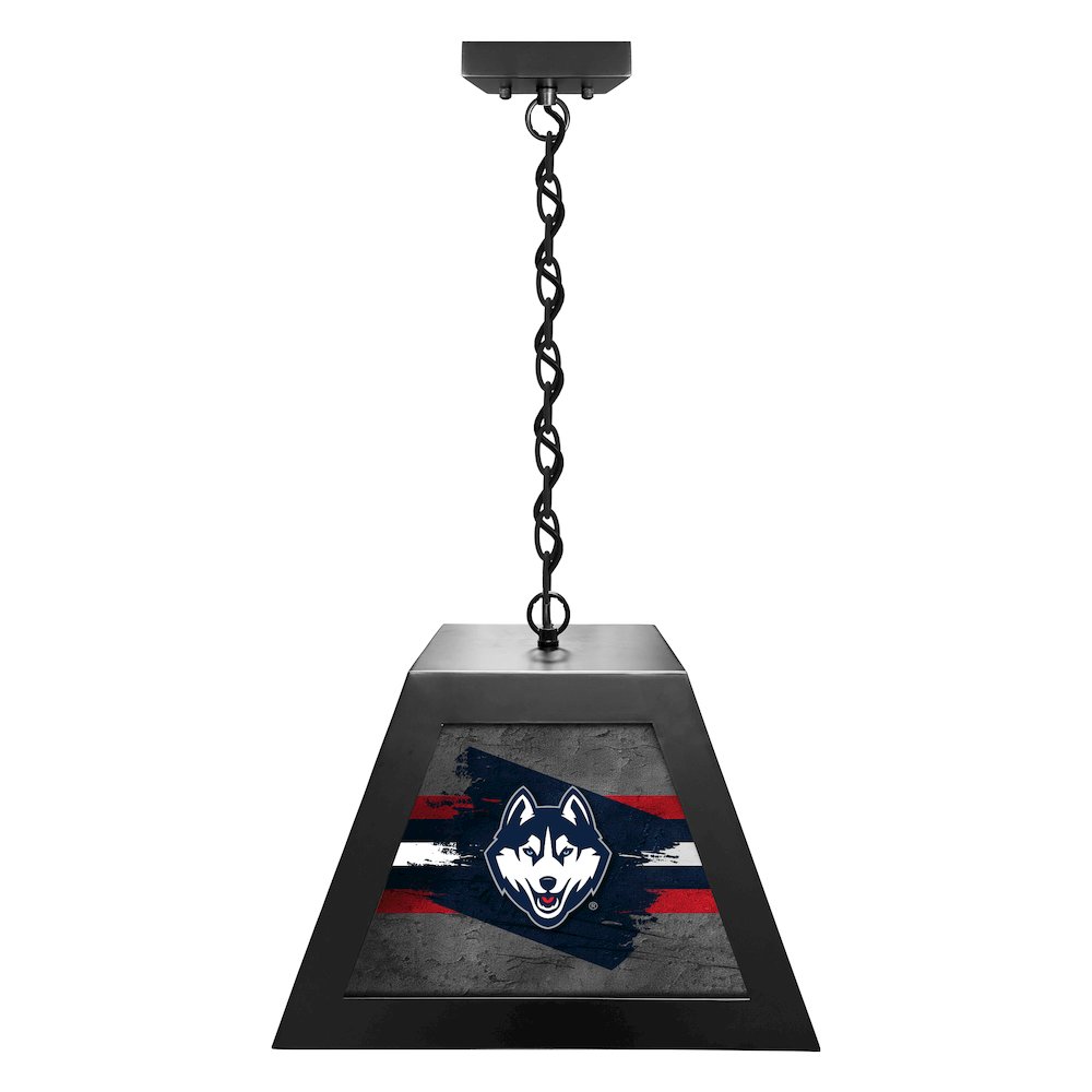 University of Connecticut Pendant Box Light