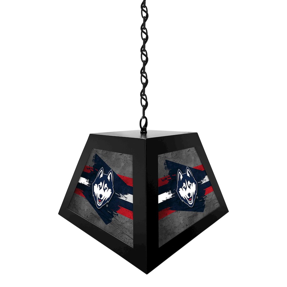 University of Connecticut Pendant Box Light
