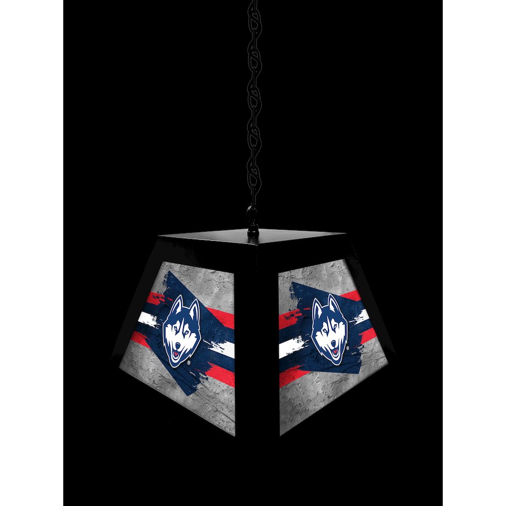 University of Connecticut Pendant Box Light