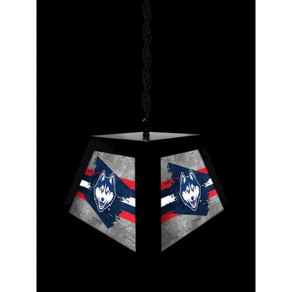 University of Connecticut Pendant Box Light