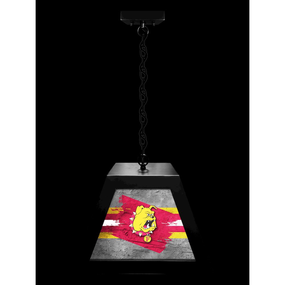 Ferris State University Pendant Box Light
