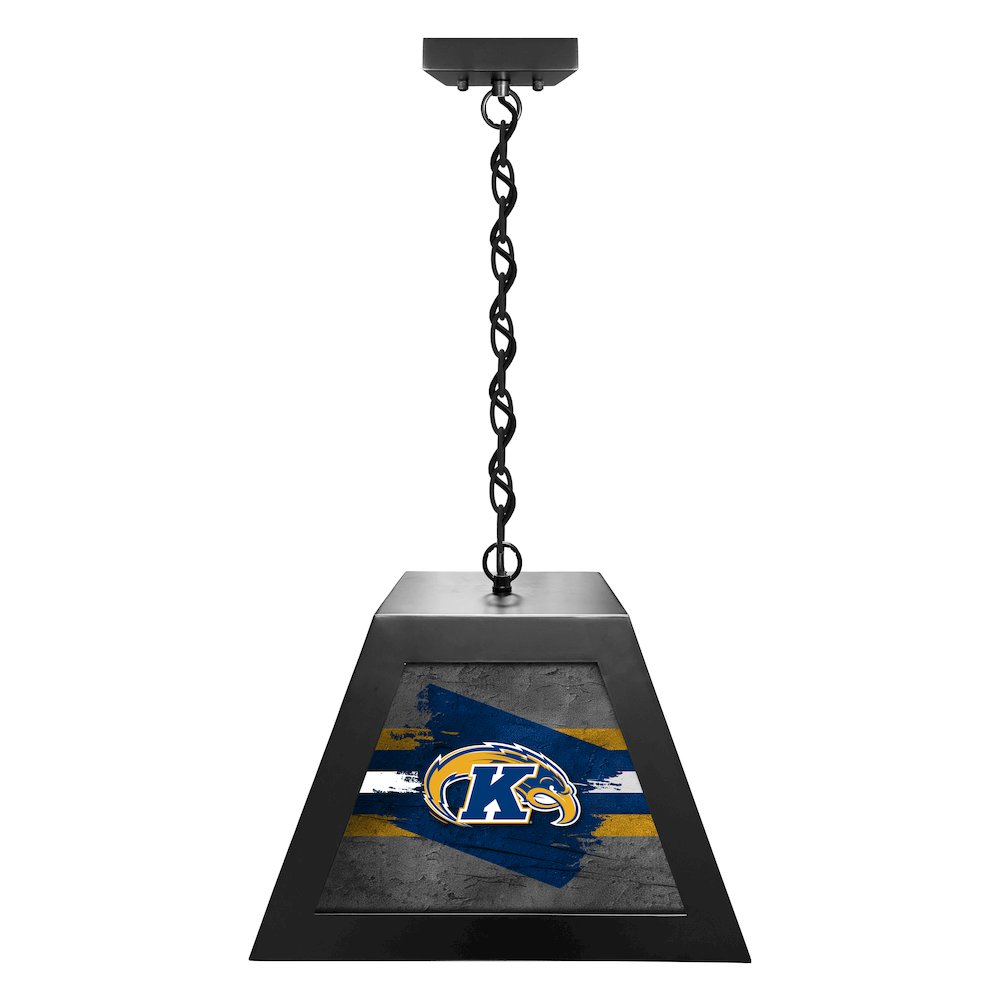 Kent State University Pendant Box Light