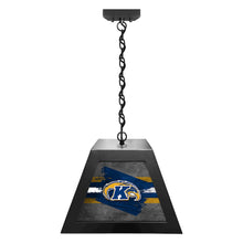 Kent State University Pendant Box Light