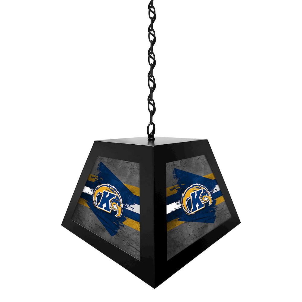 Kent State University Pendant Box Light