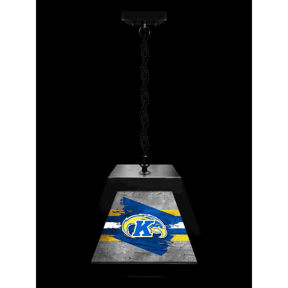 Kent State University Pendant Box Light