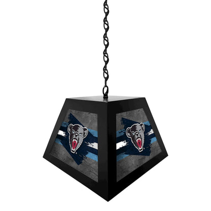 University of Maine Pendant Box Light