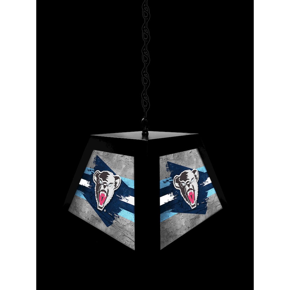 University of Maine Pendant Box Light
