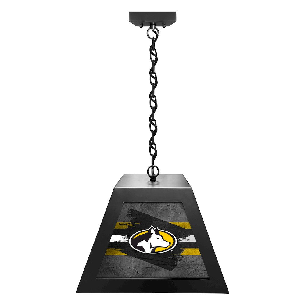 Michigan Tech University Pendant Box Light