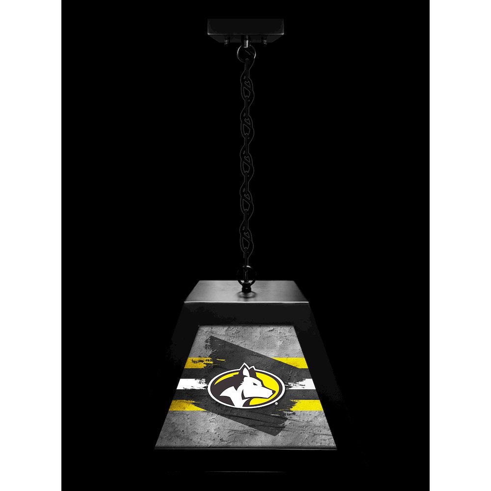 Michigan Tech University Pendant Box Light