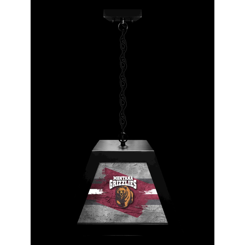 University of Montana Pendant Box Light