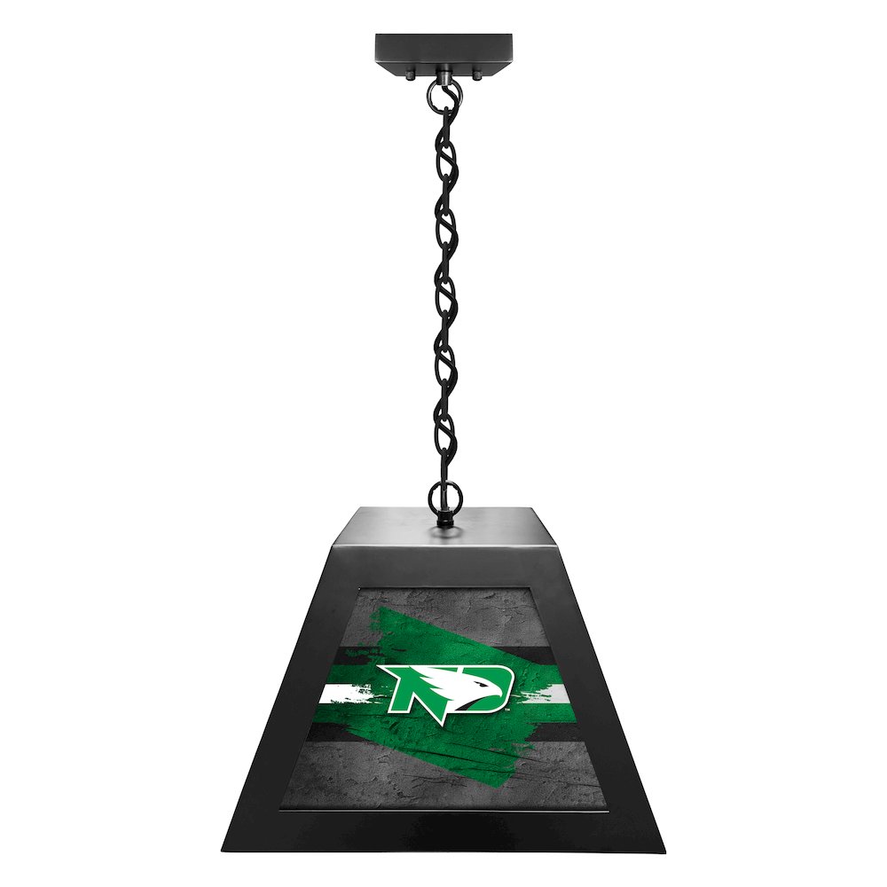 University of North Dakota Pendant Box Light