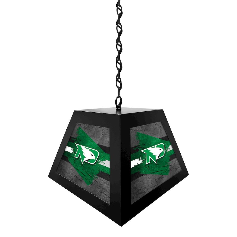 University of North Dakota Pendant Box Light
