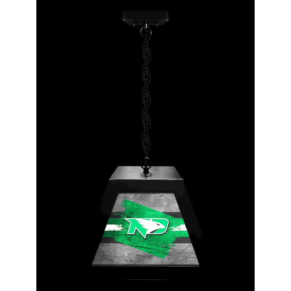 University of North Dakota Pendant Box Light