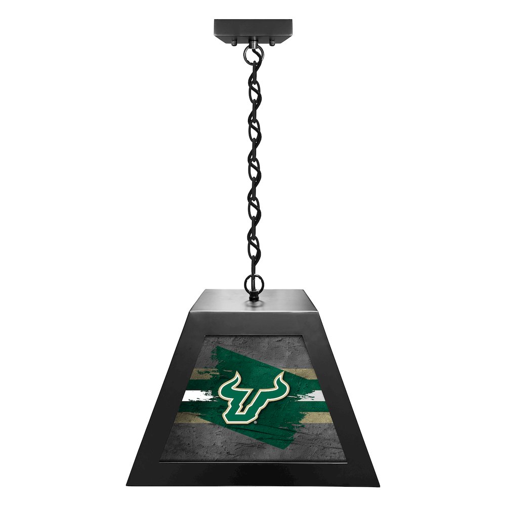 University of South Florida Pendant Box Light
