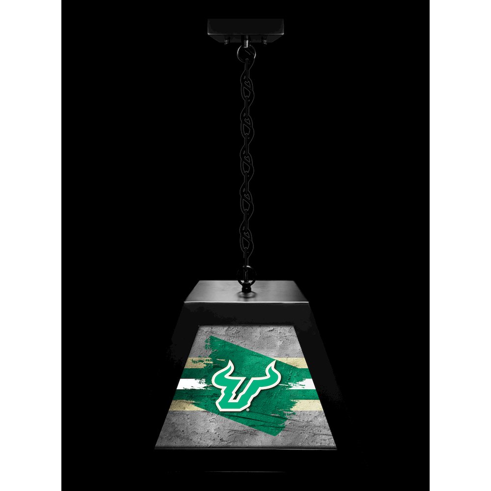 University of South Florida Pendant Box Light