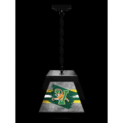University of Vermont Pendant Box Light