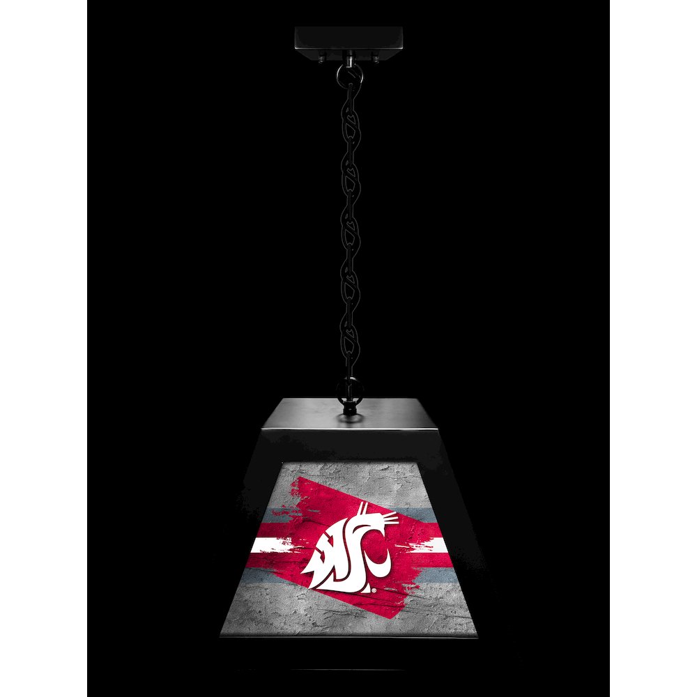 Washington State University Pendant Box Light
