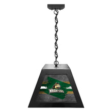 Wright State University Pendant Box Light