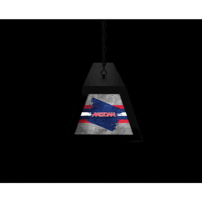 University of Arizona Long Box Billiard Light