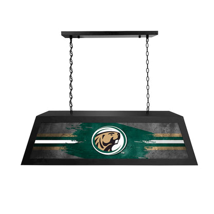 Bemidji State University Long Box Billiard Light