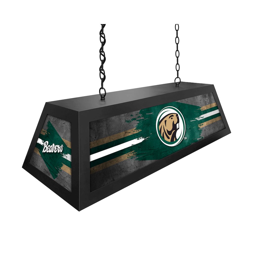 Bemidji State University Long Box Billiard Light