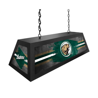 Bemidji State University Long Box Billiard Light